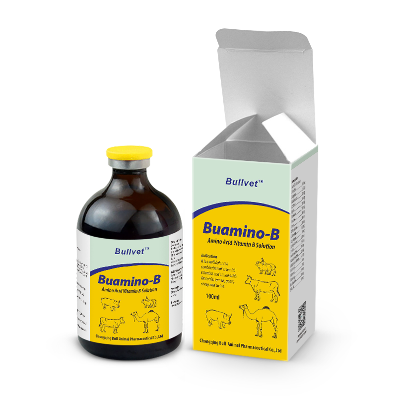 Amino Acid Vitamin B Injection