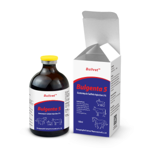 Gentamicin Sulfate Injection 50000IU