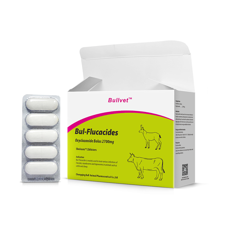 Oxyclozanide Bolus 2700mg