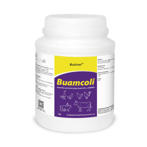 Amoxicillin and Colistin Sulfate Powder 50% + 2400000IU