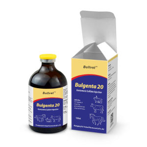Gentamicin Sulfate Injection 20%