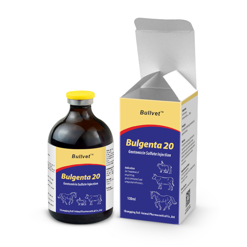 Gentamicin Sulfate Injection 20%