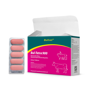 Oxyclozanide and Tetramisole Hydrochloride Bolus 450mg+450mg