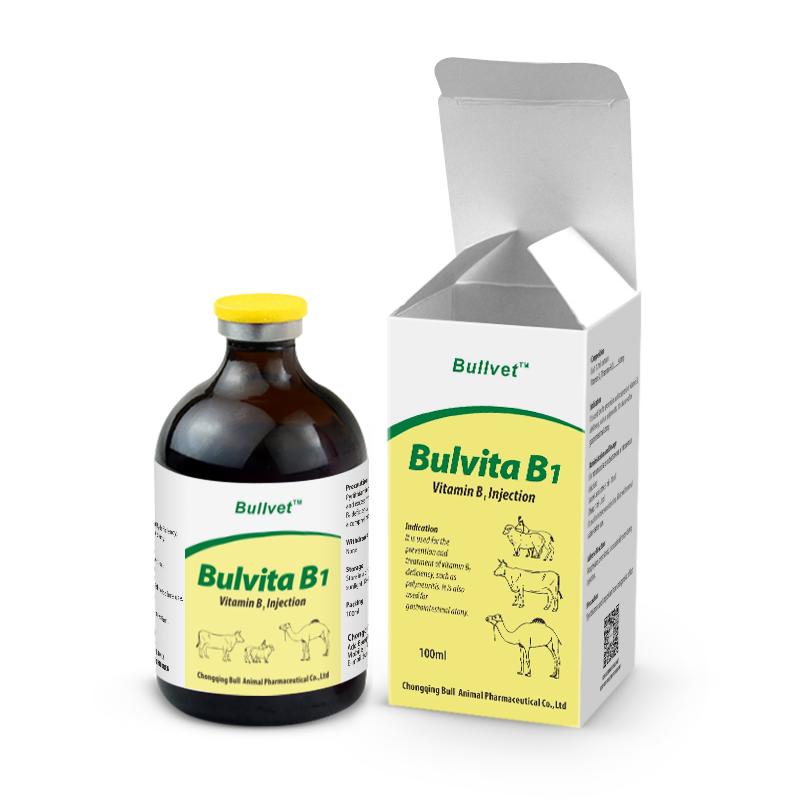 Vitamin B1 Injection