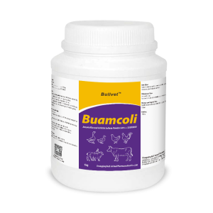 Amoxicillin and Colistin Sulfate Powder 64% + 320000IU