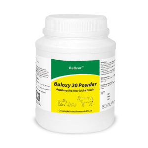 Oxytetracycline Powder 20%