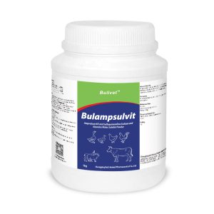 Amprolium Hydrochloride and Sulfaquinoxaline and Vitamins Water Soluble Powder