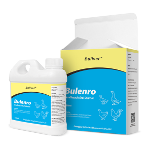 Enrofloxacin Oral Solution 5%
