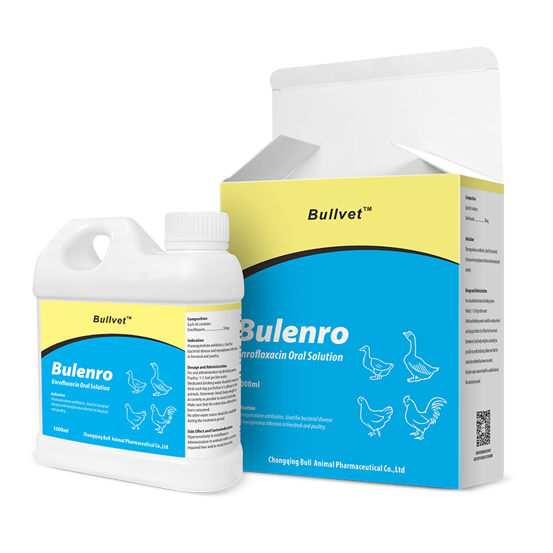 Enrofloxacin Oral Solution 5%