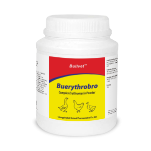 Complex Erythromycin Powder