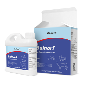 Norfloxacin Oral Liquid 20%