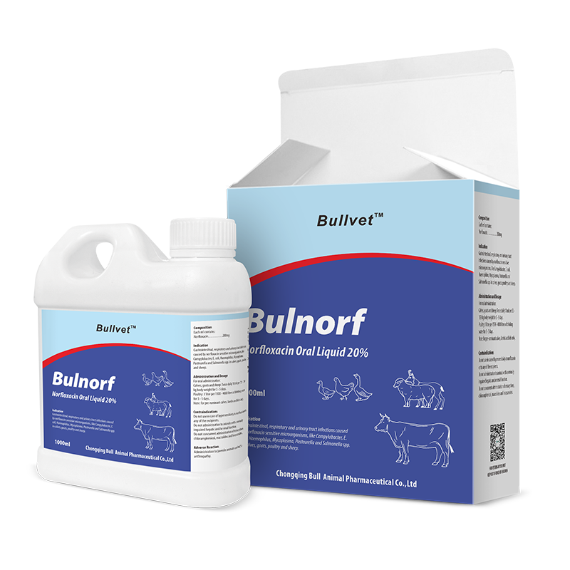 Norfloxacin Oral Liquid 20%