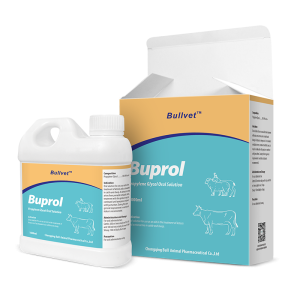 Propylene Glycol Oral Solution