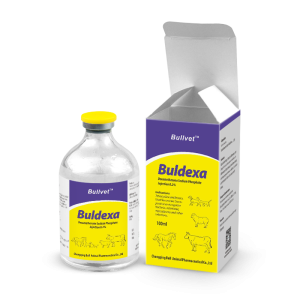 Dexamethasone Sodium Phosphate Injection 0.2%