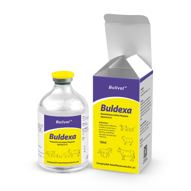 Dexamethasone Sodium Phosphate Injection 0.2%