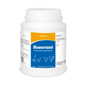 Enrofloxacin Water Soluble Powder 50%