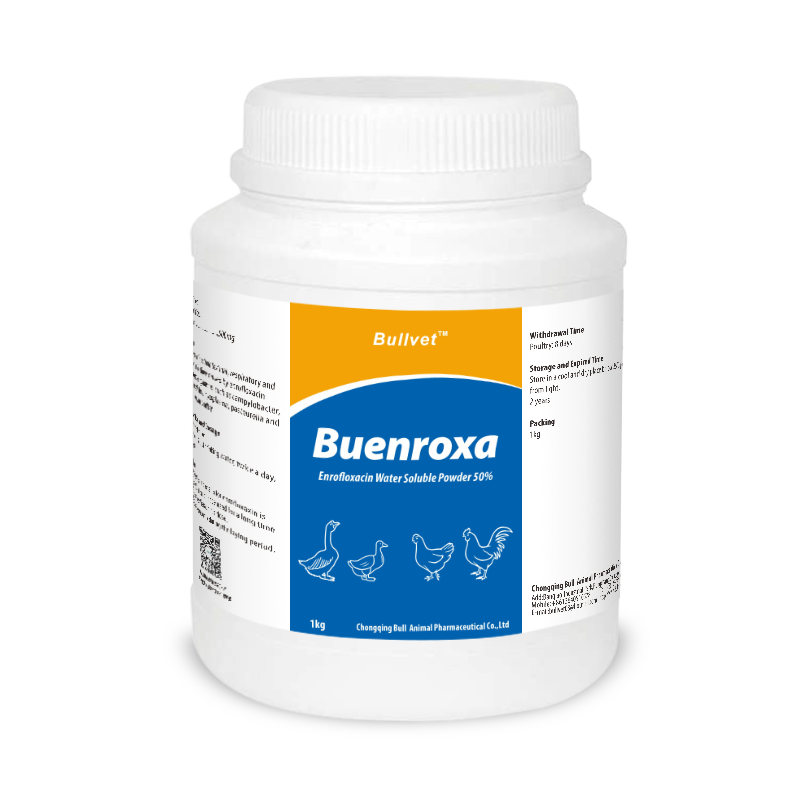 Enrofloxacin Water Soluble Powder 50%