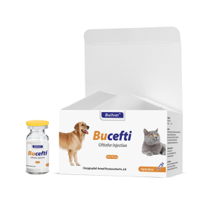 Ceftiofur Injection 5%