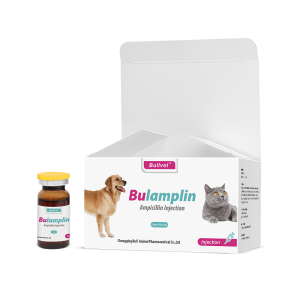 Ampicillin Injection 15%
