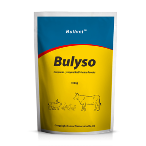 Compound Lysozyme Multivitamin Powder