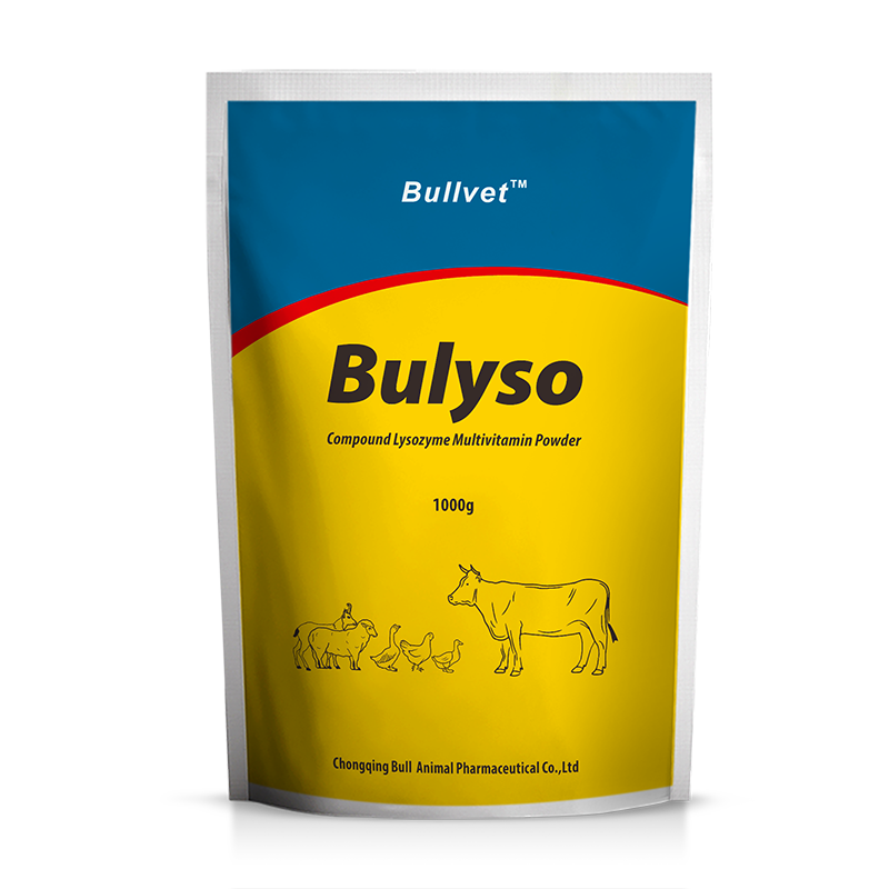 Compound Lysozyme Multivitamin Powder