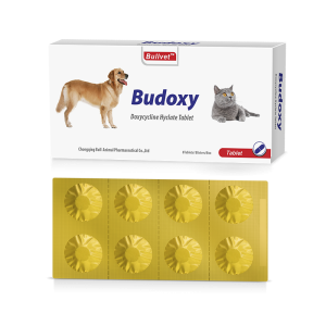 Doxycycline Hyclate Tablet 50mg