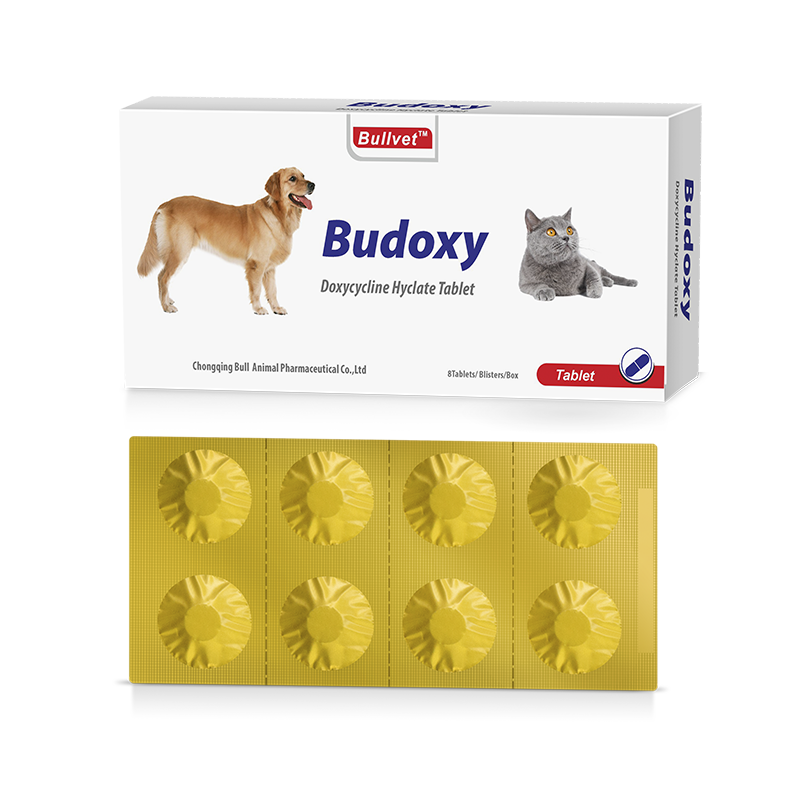 Doxycycline Hyclate Tablet 50mg