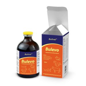 Compound Levocarnitine Injection