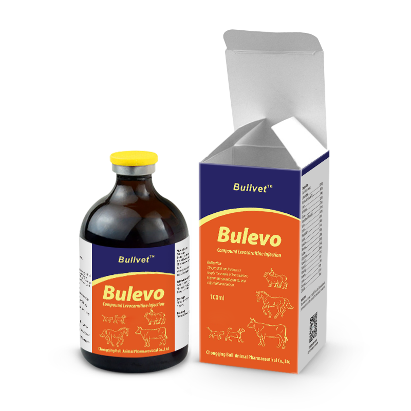 Compound Levocarnitine Injection