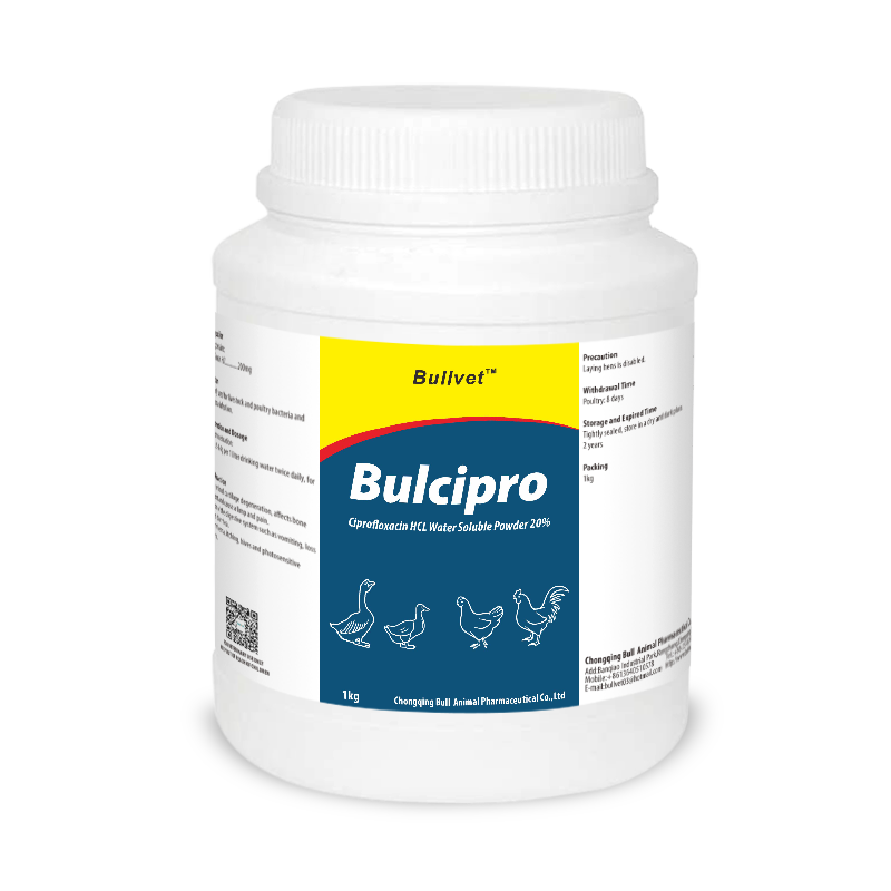 Ciprofloxacin Hydrochloride Water Soluble Powder 20%