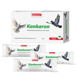 Metronidazole and Vitamin B1 Powder 40% + 1%