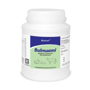 Multivitamin and Amino Acid Water Soluble Powder