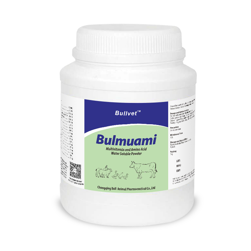 Multivitamin and Amino Acid Water Soluble Powder