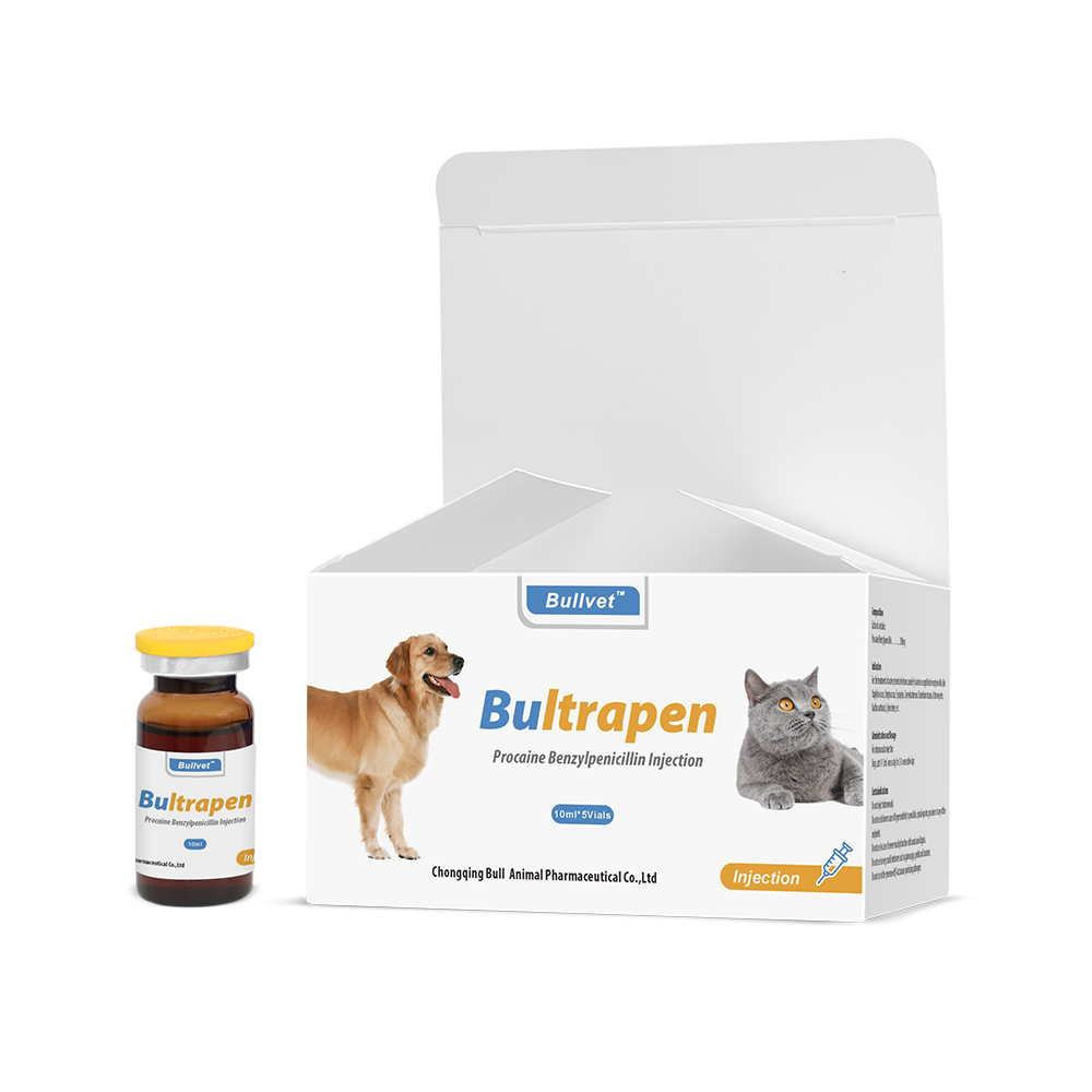 Procaine Benzylpenicillin Injection 30%