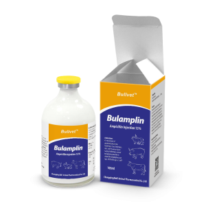Ampicillin Injection 15%