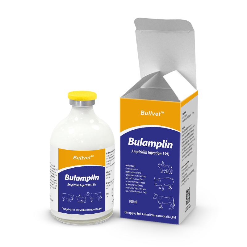 Ampicillin Injection 15%
