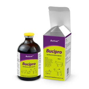 Ciprofloxacin Lactate Injection 20%