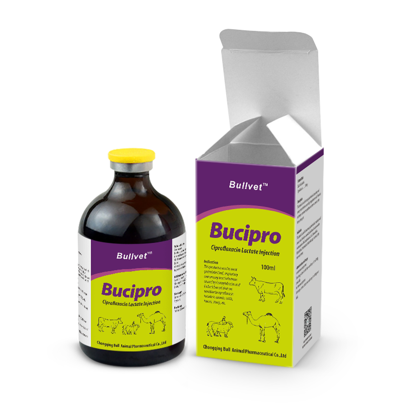 Ciprofloxacin Lactate Injection 20%