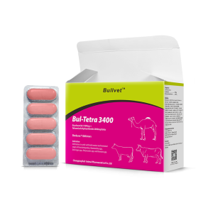 Oxyclozanide and Tetramisole Hydrochloride Bolus 1400mg+2000mg