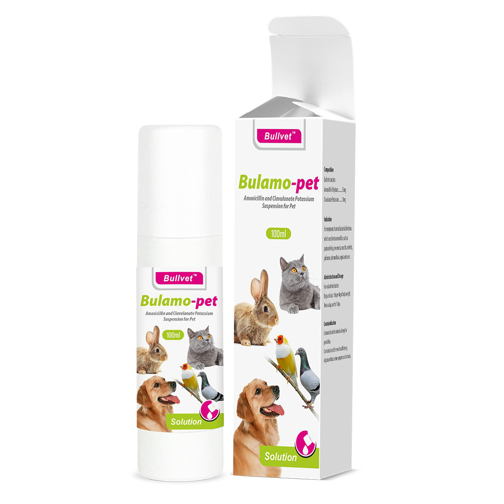 Amoxicillin and Clavulanate Potassium Suspension for Pet 5%+1%