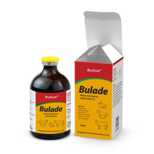 Vitamin AD3E Injection(80,000:40,000:10)