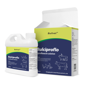 Ciprofloxacin Solution 20%