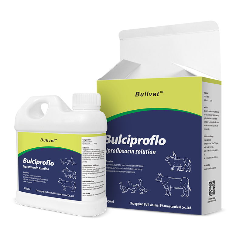 Ciprofloxacin Solution 20%