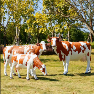 Dairy Cow